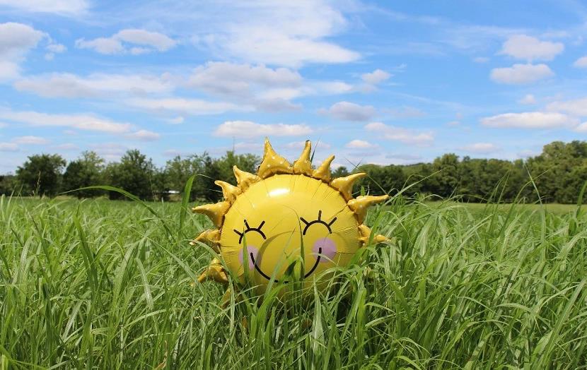 托福109分的刷题阅读听力口语经验