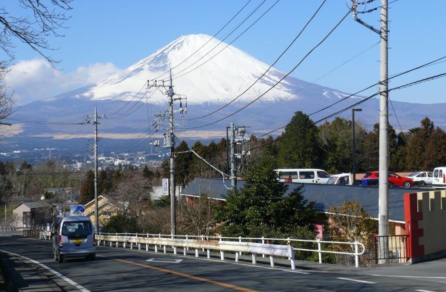 日本药学访学的学习收获及思考