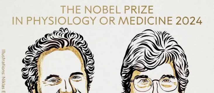 卡罗琳宣布2024 年首个诺贝尔生理学或医学奖的两位科学家！